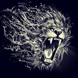 Meet your Posher, Kayelyn